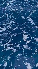 大海泡沫海鸥循环播放视频可做背景壁纸视频视频的预览图